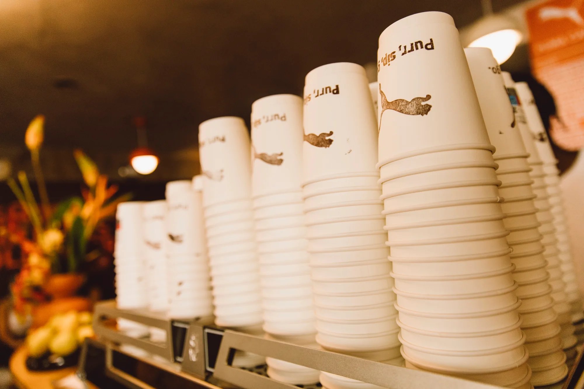 metal-puma-cafe-17.webp